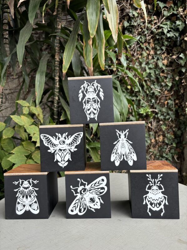 CAJAS DE BICHOS