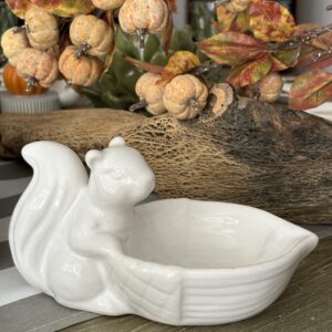 BOWL DE ARDILLA
