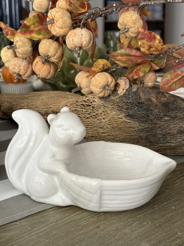 BOWL DE ARDILLA