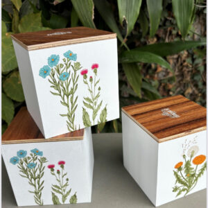 CAJAS DE TE