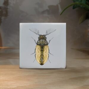 CUBO MINI ESCARABAJO AMARILLO