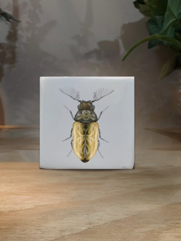 CUBO MINI ESCARABAJO AMARILLO