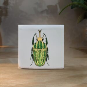 CUBO MINI ESCARABAJO VERDE