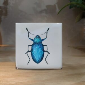 CUBO MINI ESCARABAJO AZUL