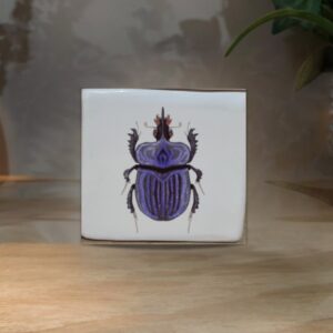 CUBO MINI ESCARABAJO MORADO