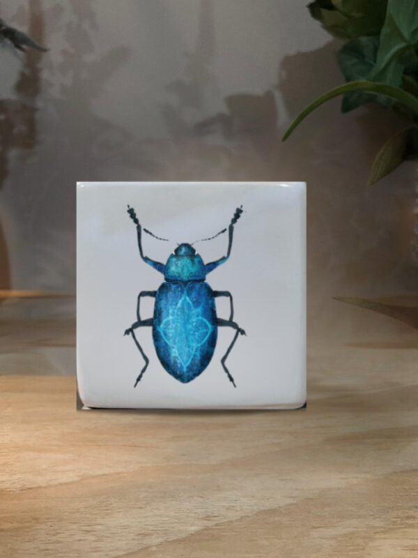 CUBO MINI ESCARABAJO AZUL