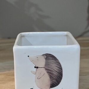 CUBO MINI PATINETA