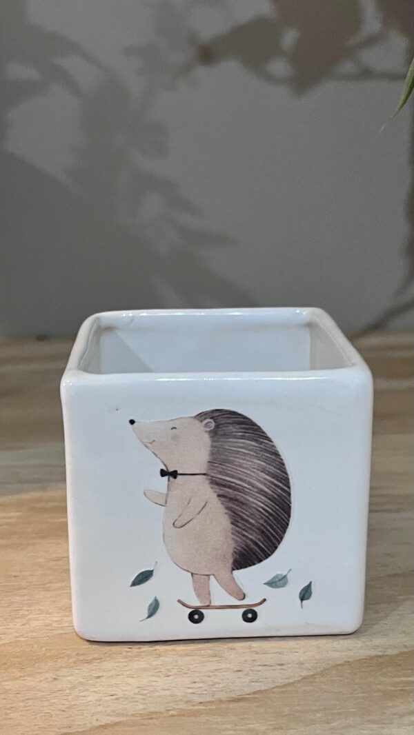 CUBO MINI PATINETA