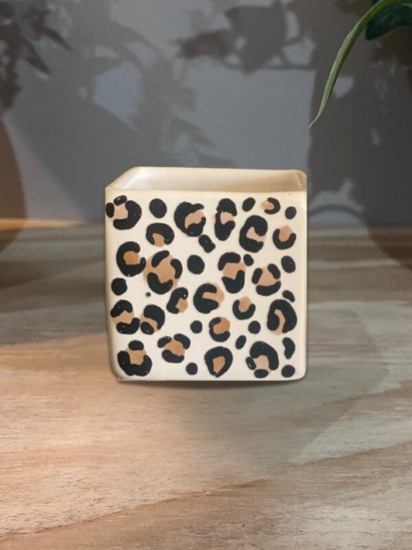 CUBO MINI ANIMAL PRINT JAGUAR