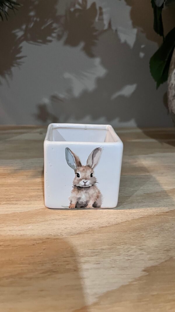 CUBO MINI CONEJO PASCUA