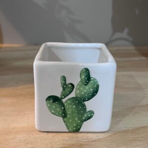 CUBO MINI MÉXICO