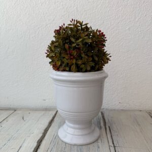 FLORERO COPA